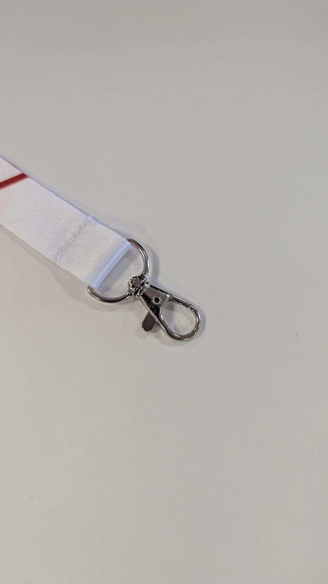 Lanyard