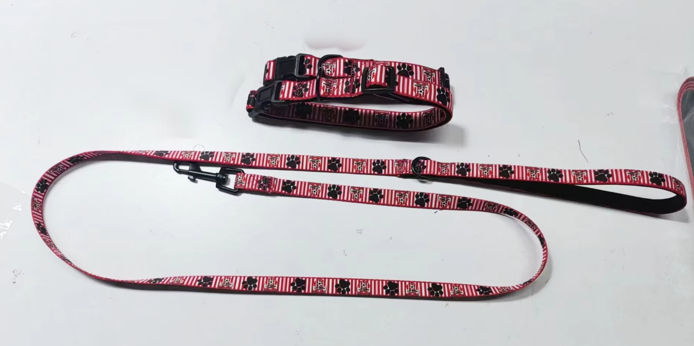 Dog Collar and Lead Set
