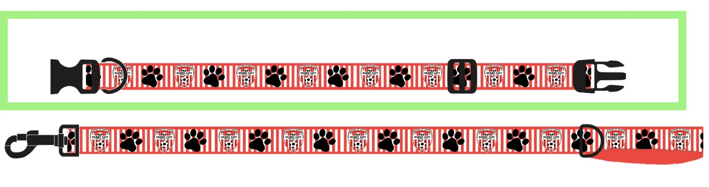 Dog Collar and Lead Set