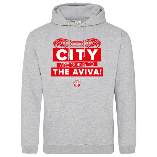 2026 Cup Final - Stadium Outline Hoodie