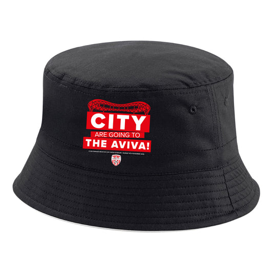 2026 Cup Final - Aviva Outline Bucket