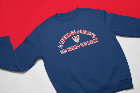 Teenage Dream Sweatshirt